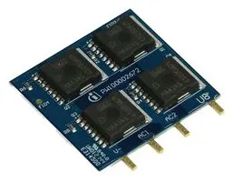 KITACTBRDS74PINTOBO1