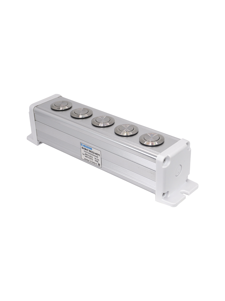 BXM47-B5/22-65У1 (5 серебристых цилиндрических кнопок (1C1NO1NC))  (ЭТ)